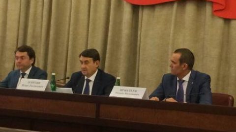 Светлана Разворотнева вошла в группу по подготовке заседания Госсовета и комиссии при Президенте