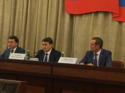 Светлана Разворотнева вошла в группу по подготовке заседания Госсовета и комиссии при Президенте