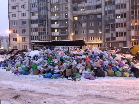 Смогут ли петербуржцы добиться компенсации за испорченный горами мусора Новый год