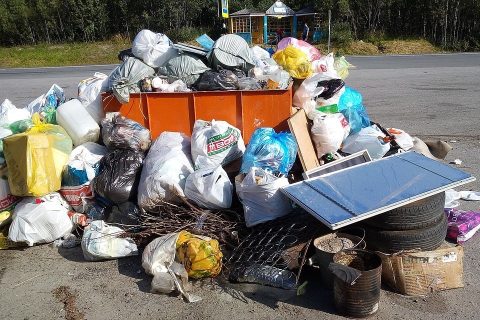 Мусору назначили пиролиз