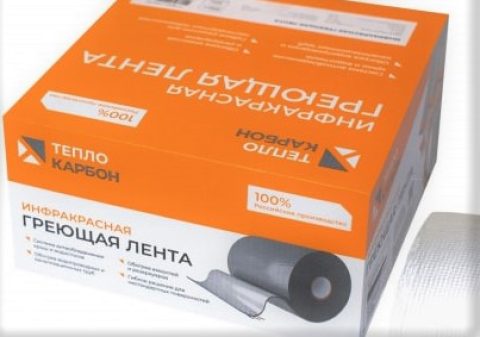 В Санкт-Петербурге проведут эксперимент по обогреву крыш