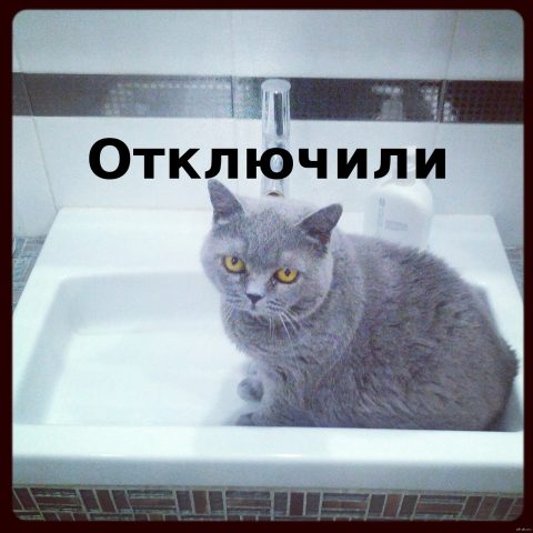 Что делать, если в квартире отключили воду.