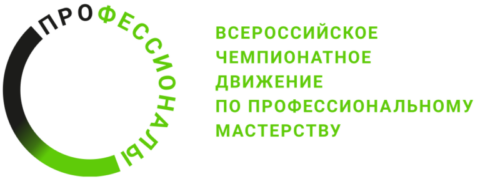 Чемпионат по профессиональному мастерству «Профессионалы» пройдет в городе