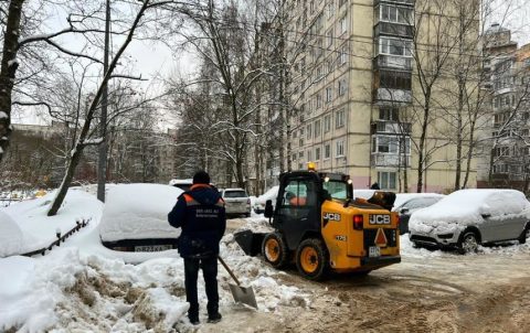 Петербургский бизнес ответит за неубранные снег и наледь перед прокуратурой