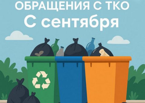 Новые правила обращения с бытовыми отходами: что изменилось и кого они касаются