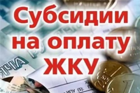 Петербургский депутат предложил разрешить выплачивать субсидии должникам по ЖКХ